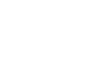 Chinook Strategy